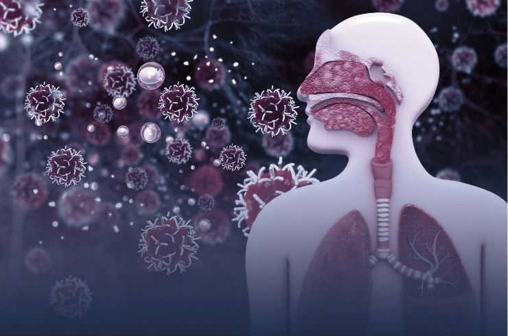 Tuberculosis Care image